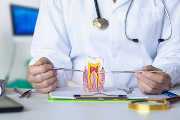 Best Root Canal Emergency Dentist  in Mission, SD